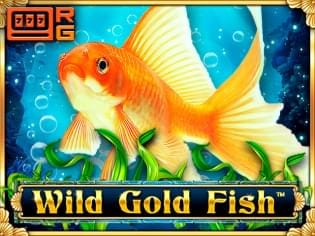 Wild Gold Fish game icon